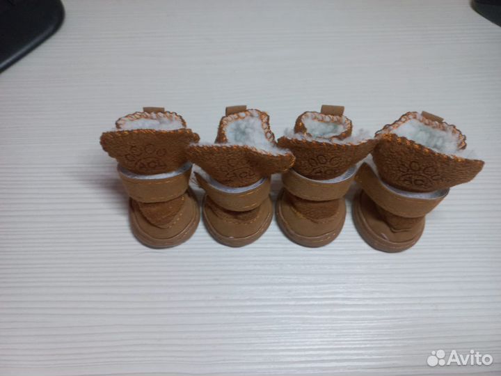 Ботинки для маленьких собак