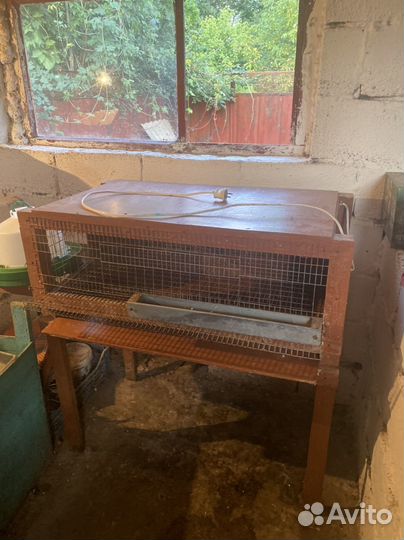 Клетка для перепелов, брудер, клетка для птиц