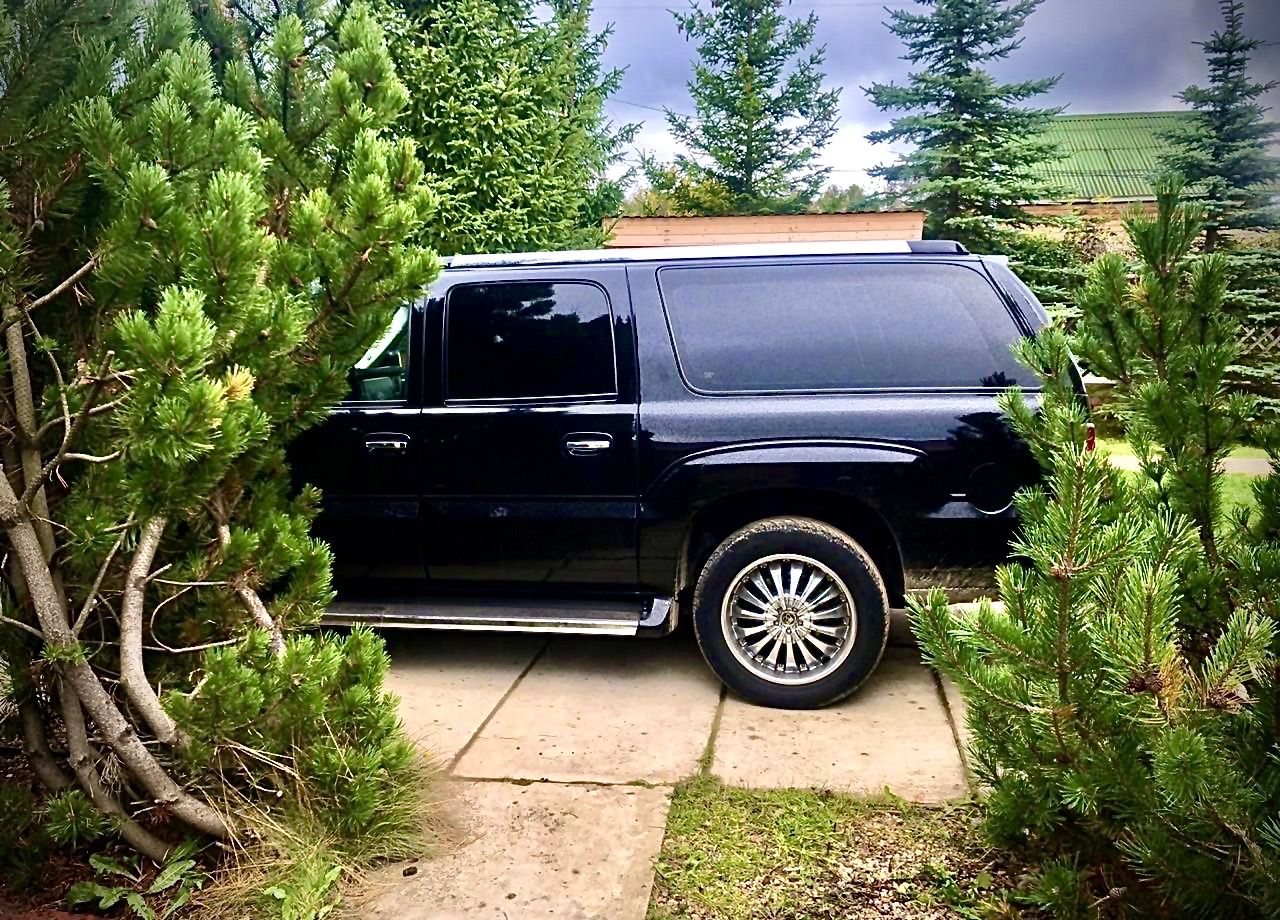 Cadillac Escalade: фото владельца