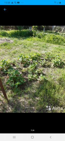 Дача 52 м² на участке 5 сот.