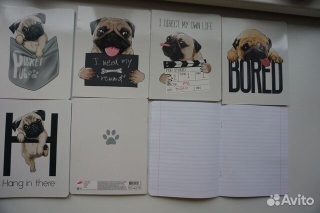 Тетрадь А5, 48 листов, линейка