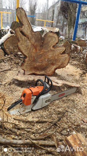 Спилы и слэбы для творчества и декора