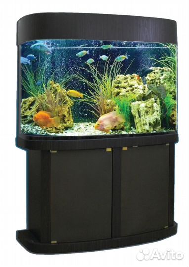 Аквариумы, террариумы, черепашник рыбки и растения