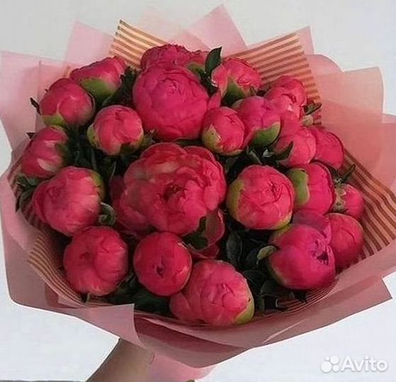 Пионы Букет пионов