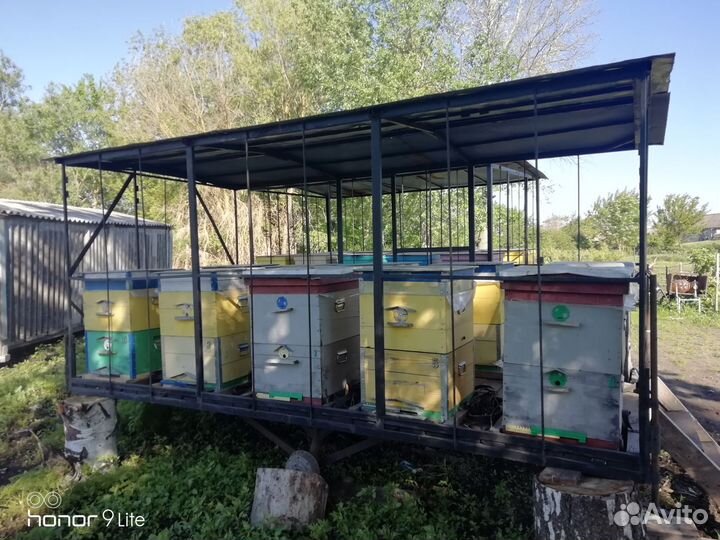 Качевая пасека (с пчелами) с Уазом 31512