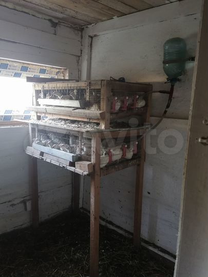 Участок 49 сот. (СНТ, ДНП)