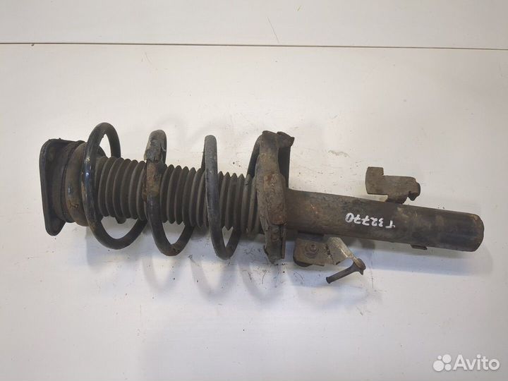 Амортизатор подвески Ford Focus 2, 2010