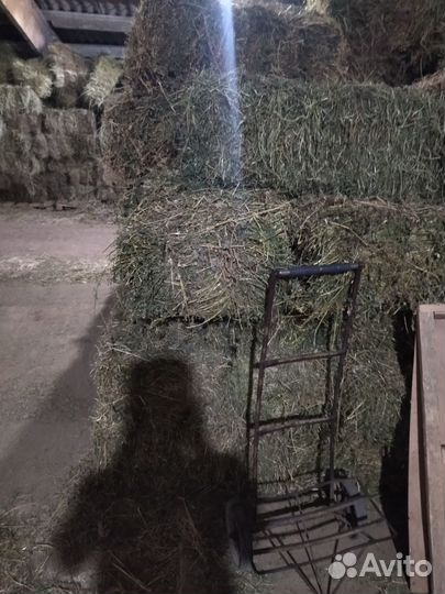 Сено в тюках