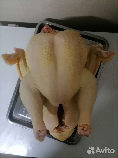 Мясо домашней индейки