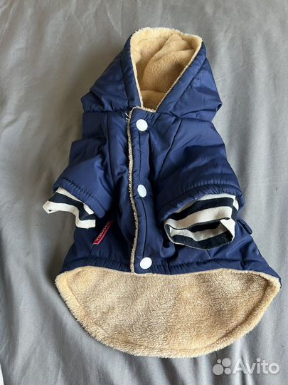 Одежда для собак