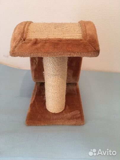 Когтеточка