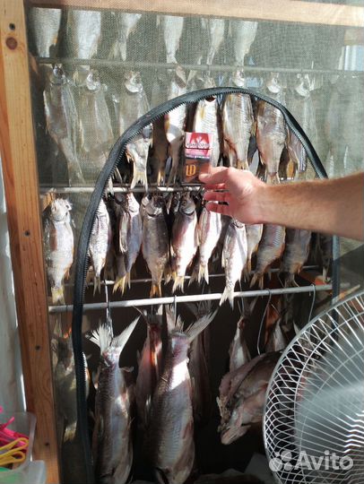 Продукты питания сухая рыба