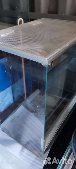 Аквариумы для разведения рыб