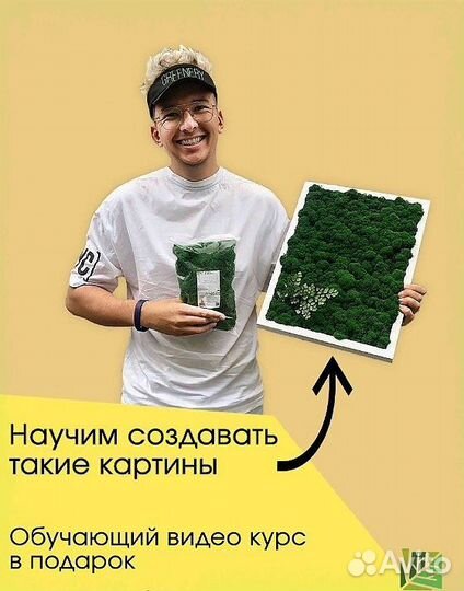 Мох ягель стабилизированный оптом и в розницу