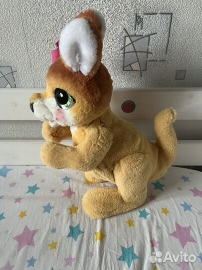 Кенгуру джози