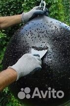 Ловушка для мух, оводов, слепней, других насекомых