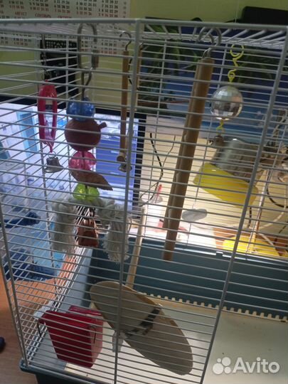 Клетка для попугая