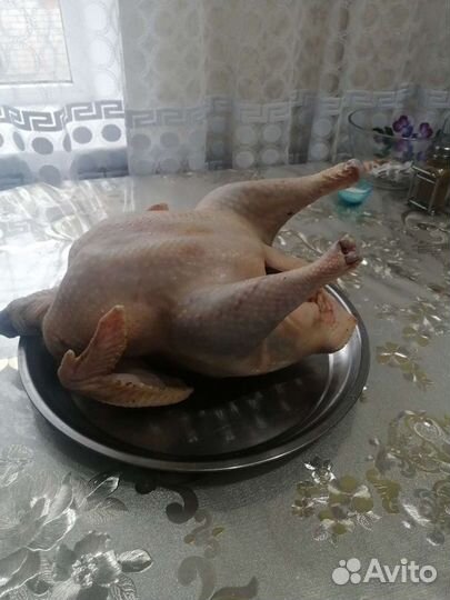 Мясо индейки