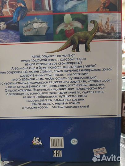 Большая Российская детская энциклопедия, 431 стр