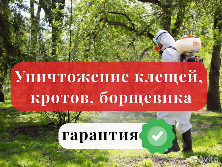 Уничтожение клещей кротов короеда борщевика ос