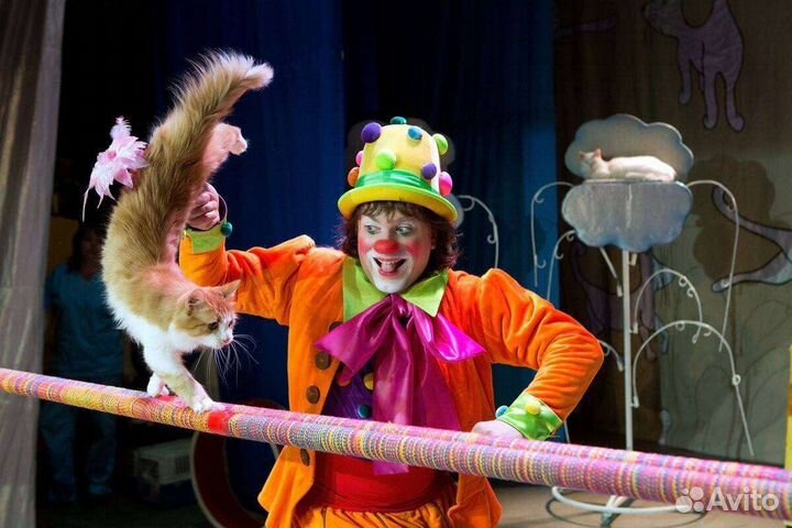 Билеты в театр Куклачёва