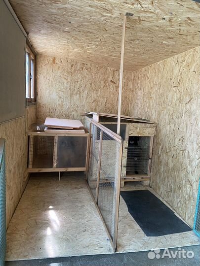 Гостиница для животных