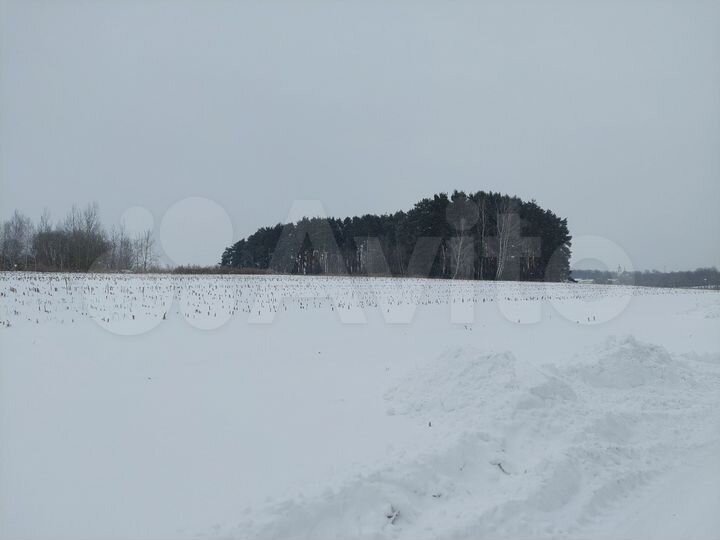 Участок 6 сот. (ИЖС)