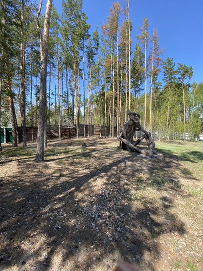 Дом 36 м² на участке 10 сот.