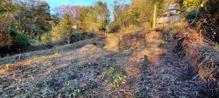 Участок 6,6 сот. (СНТ, ДНП)