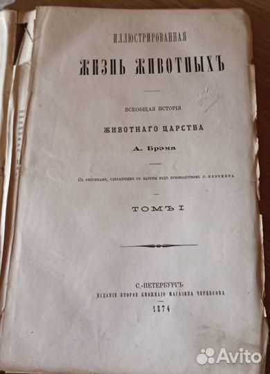 А. Брэм. Жизнь животный. 2 тома 1874