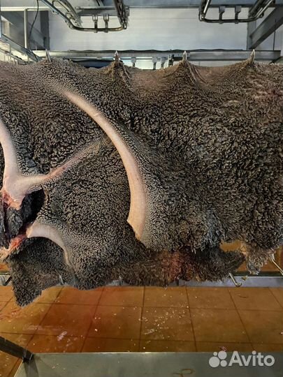 Рубец говяжий для собак(животных)