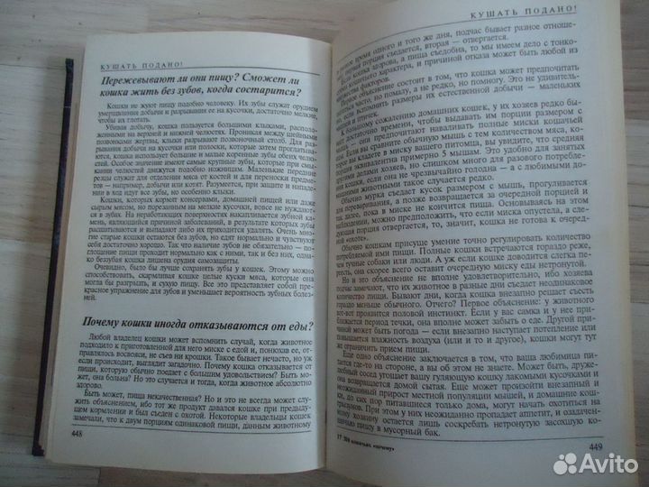 Книга о кошках
