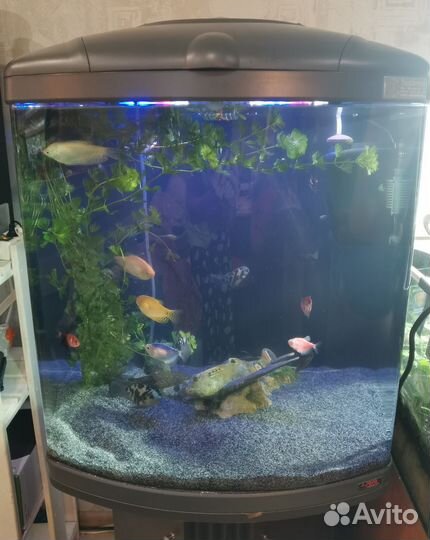 Аквариум с тумбой 130 литров
