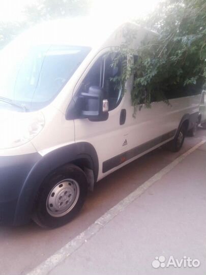 Водитель категории д