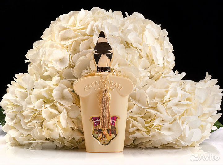 Парфюмерия Xerjoff Fiore D'Ulivo