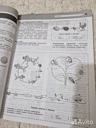 Справочник по биологии ОГЭ/ЕГЭ Мазур, Никитинская