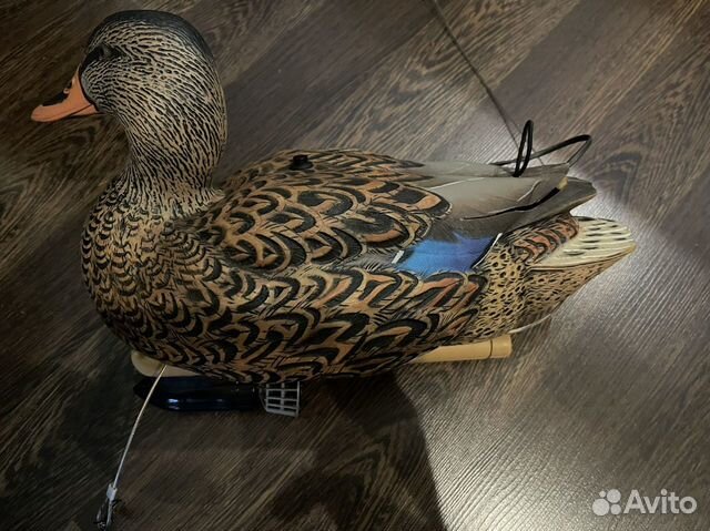 Кормящийся белолобый гусь. Полевые чучела утки кряквы sport plast. Чучела кряквы италия сминаемые. Чучела свиязи норсвей. Свиязь чучело авиан х.