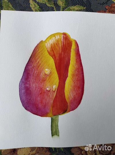 Акварельная работа 