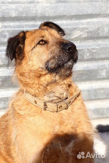 Мальта бесплатно