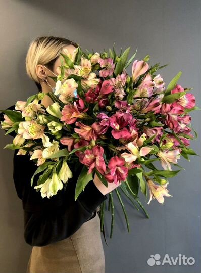 Альстромерии Букет Доставка