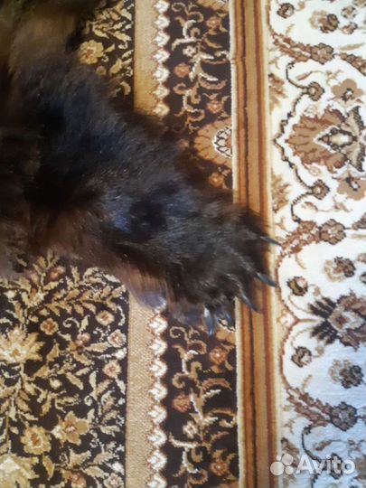 Шкура медведя имитация