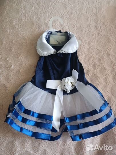 Одежда для собак мелких пород