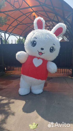 Костюм звезды-ростовая кукла-костюм зайки