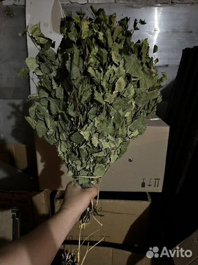 Ваники березрвые и березовые с травами