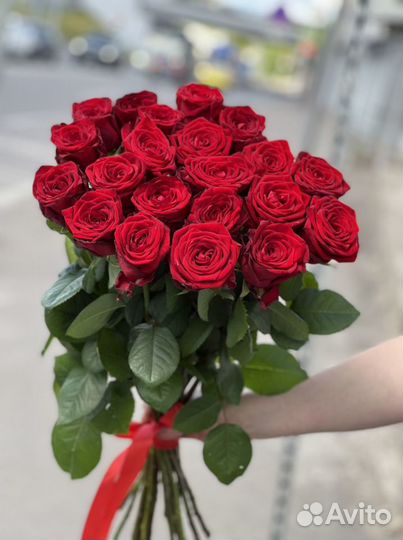 Роза 60 см