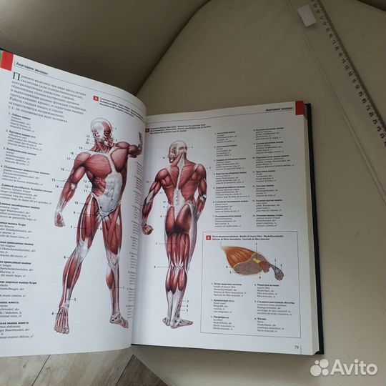 Словарь иллюстрированный 400 страниц