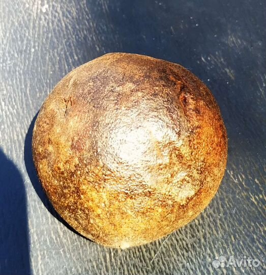 Продукты Растения