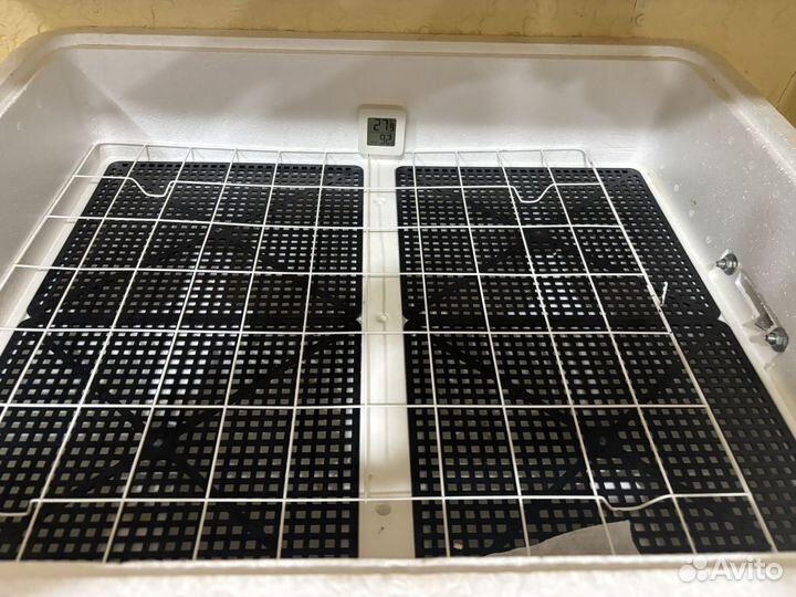 Инкубатор 77яиц