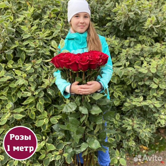 Букет красных роз, Эквадор, 100см 29 шт