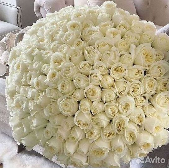 Высокие розы Гигантские розы с доставкой